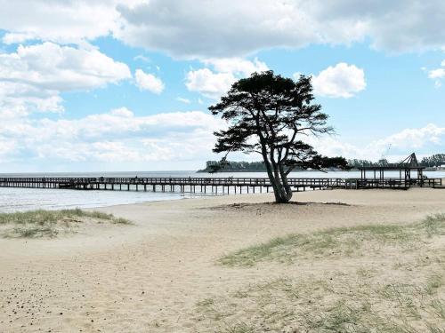 a tree on the beach with a pier in the background at 4 person holiday home in ÅHUS-By Traum in Åhus