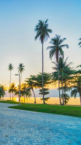 a cobblestone road with palm trees on the beach at Montage Villa near Beach with Golf View in Nongsa