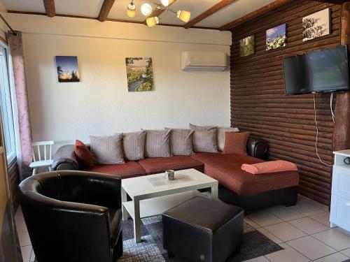 FrankenauにあるHoliday Home Eule by Interhomeのソファとテレビのあるリビングルーム