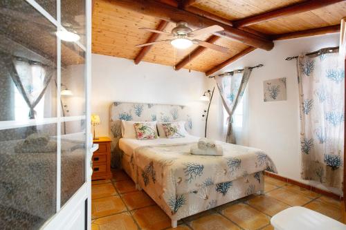 a bedroom with a bed and a ceiling fan at Minipiso Tejina de Isora in Guía de Isora