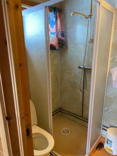 a bathroom with a shower and a toilet at Kvamskogen & Hardanger Holliday homes in Norheimsund