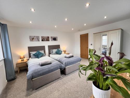 a bedroom with two beds and a potted plant at Stylish Modern Home with Parking Enclosed Garden in Holyhead