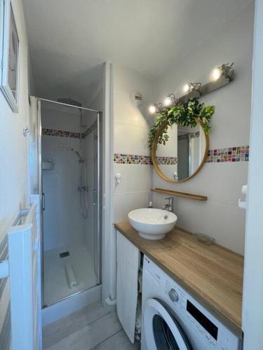 une salle de bain avec un lavabo et une machine à laver dans l'établissement Charmant Studio à 5 min d’Aix en Provence, à Aix-en-Provence