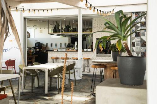 a restaurant with tables and chairs and a potted plant at Buendía Corralejo Nohotel in Corralejo
