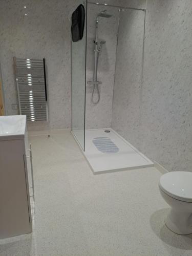 a bathroom with a shower and a toilet at Ferry Lodge in Brundall