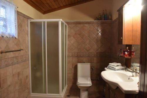 uma casa de banho com um chuveiro, um WC e um lavatório. em Mariolata Vintage Stone Villa - 4 Season Escape em Marioláta