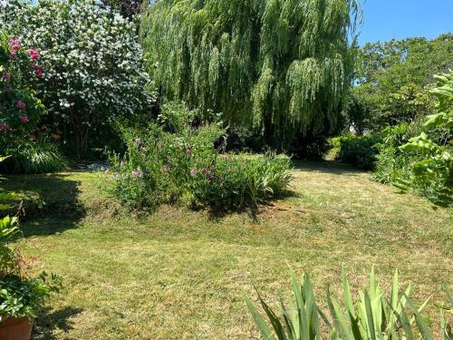 un jardin avec un saule et des plantes en pleurote dans l'établissement *Countryside in town * Close to Paris*, à Chaville