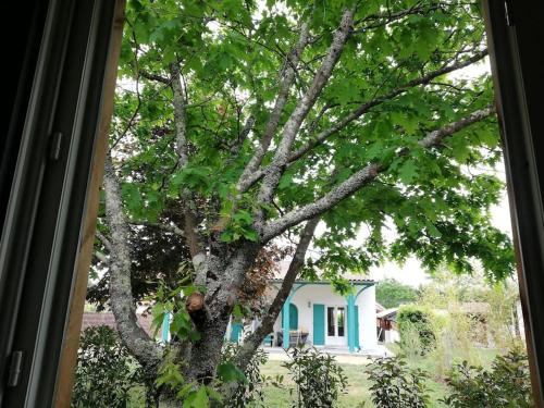 Gallery image of Lanton, la petite maison de vos vacances in Lanton
