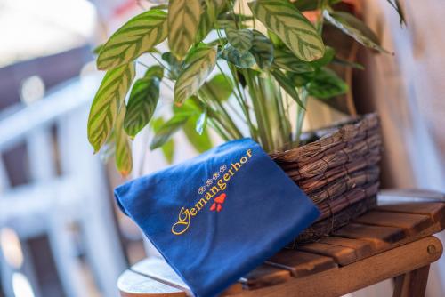 a plant sitting on a table with a blue napkin at Gemangerhof in Bressanone