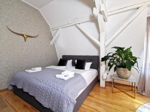 a bedroom with a bed and a potted plant at BohnApartments Steigerwald - Natur in der Stadt - Vollausstattung - WLAN - gratis Parkplätze in Erfurt