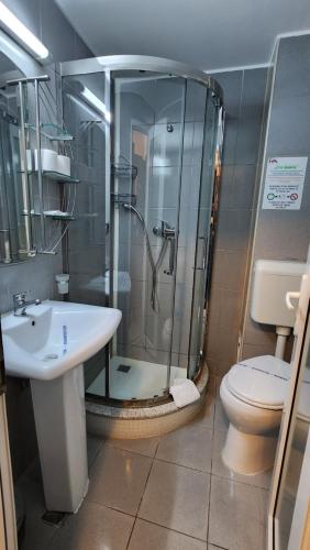 La salle de bains est pourvue d'une douche, de toilettes et d'un lavabo. dans l'établissement Arion Hotel, à Constanţa