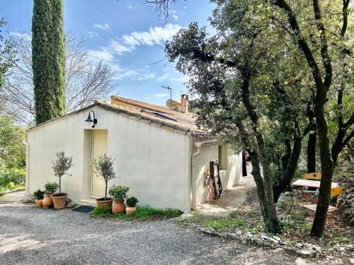 Κήπος έξω από το Joli studio Les Hibiscus du Pic Saint Loup