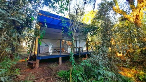 a house in the middle of a forest at Bosque Contêiner Eco Guaricana in São José dos Pinhais
