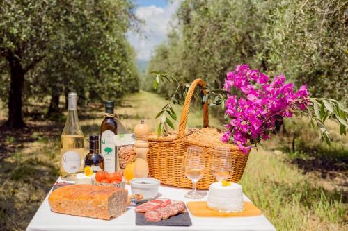 - une table de pique-nique avec un panier de pain et des bouteilles de vin dans l'établissement Demeure de charme Suarella Domaine de Marquiliani, à Aghione