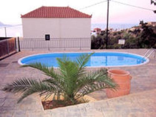 a swimming pool with a palm tree in front of a building at Vista and Vista II, Kokino Chorio, Crete- two adjacent villas presented by Ourvillasincrete in Kókkinon Khoríon