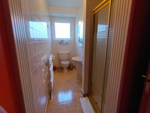 a bathroom with a toilet and a window at Kilbree House B&B in Galway