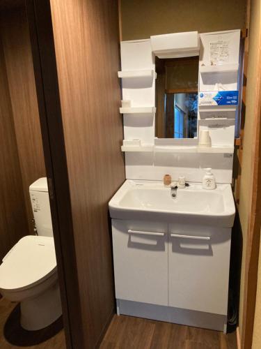 a bathroom with a sink and a toilet at Guest House Hinode in Takayama