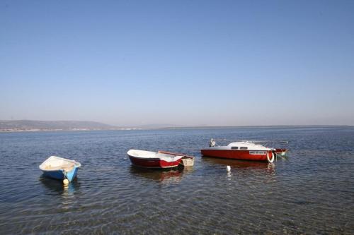 três barcos sentados numa grande massa de água em An iodized vacation at home! em Frontignan
