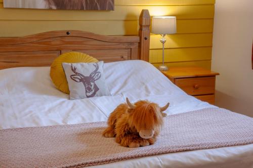 a dog sitting on top of a bed at Appin Holiday Homes -Caravans, Lodges, Shepherds Hut and Train Carriage stays in Appin