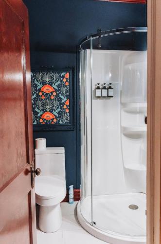 a bathroom with a toilet and a shower at Manoir Des Curiosités in La Pérade