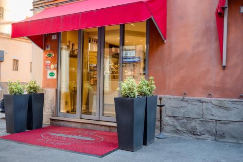 a store front with two black vases with plants in it at Hotel Centrale in Bologna