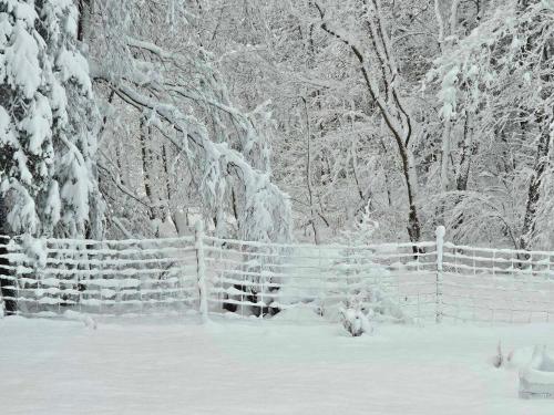a fence covered in snow in front of trees at Dom w lesie in Łukta