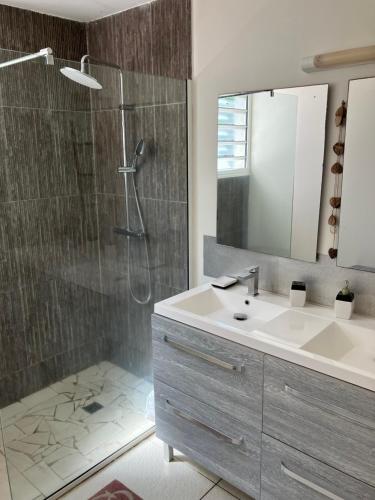 a bathroom with a sink and a shower with a mirror at LADILAFE in Le Marin