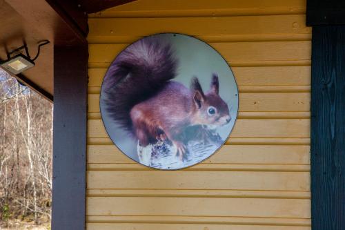 a picture of a squirrel hanging on a wall at Appin Holiday Homes -Caravans, Lodges, Shepherds Hut and Train Carriage stays in Appin