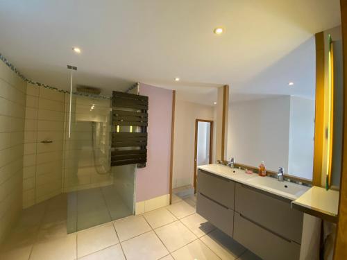 ein Bad mit einer Dusche, einem Waschbecken und einem Spiegel in der Unterkunft Grande Villa contemporaine à Grignan in Grignan