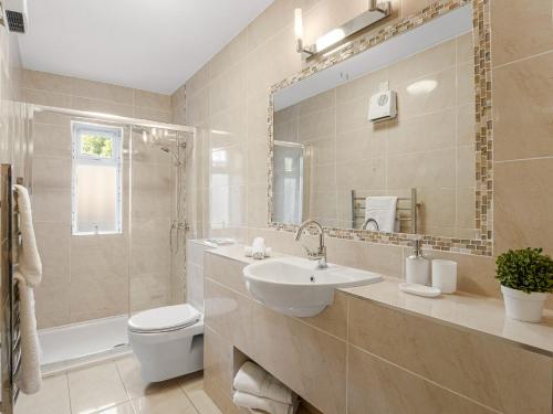 a bathroom with a sink and a toilet and a mirror at King's Apartment in Clifden