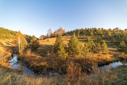 a river in a field with trees on a hill at SkyLine Lux 2 Apartman Zlatibor in Zlatibor