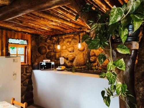 a kitchen with a stone wall with a white refrigerator at Cabana Alecrim in Bom Princípio