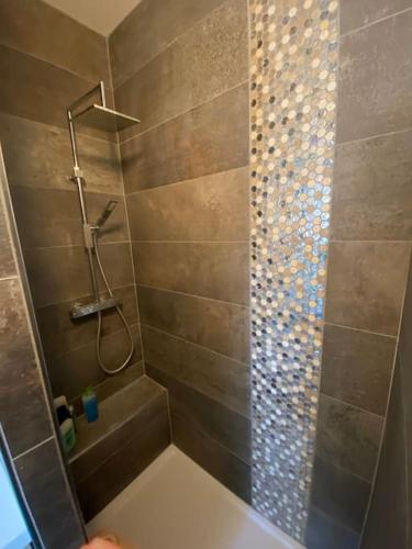 ein Bad mit einer Dusche, einem WC und einem Waschbecken in der Unterkunft Appartement vu sur mer Bidart in Bidart