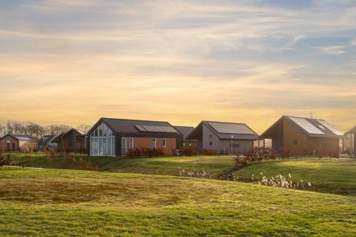 a row of houses in a grassy field at Summio Villapark Akenveen in Tynaarlo