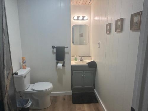 ein Badezimmer mit einem weißen WC und einem Waschbecken in der Unterkunft Border Queen Bunkhouse in Caldwell