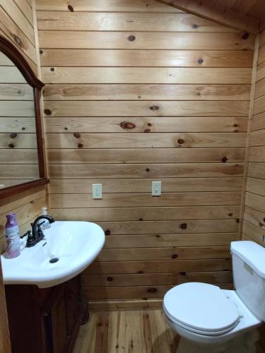 a bathroom with a toilet and a sink at Perfectly Imperfect Cabin in Turtletown