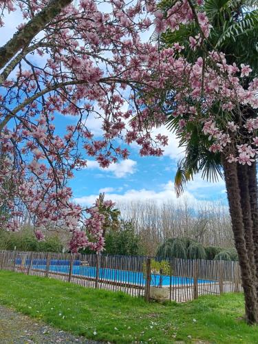 a tree with pink flowers in front of a fence at Le Moulin du Comte in Bourrouillan