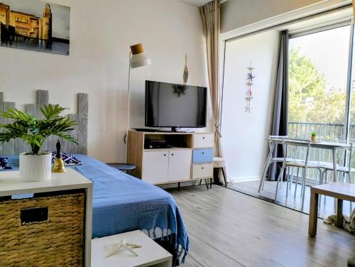 un salon avec un lit et une télévision dans l'établissement Studio cosy Résidence St Elme avec parking et WIFI à 5min de la plage, à Collioure