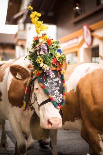 a cow wearing areath of flowers on its head at Haus Brandeck in Uttendorf