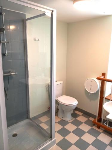 a bathroom with a toilet and a glass shower at Château du Bourg in Saint-Denis-de-Gastines