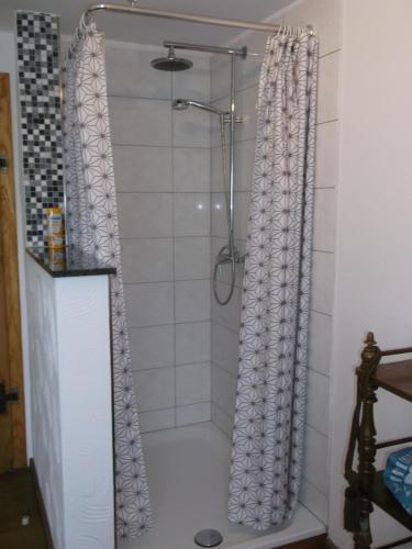 e bagno con doccia e tenda. di Ferienhaus mit Garten im Odenwald zu vermieten a Fränkisch-Crumbach