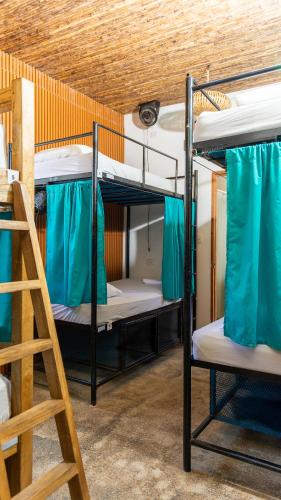 two bunk beds in a room with a ladder at Surf Town Hostel in San Juan del Sur