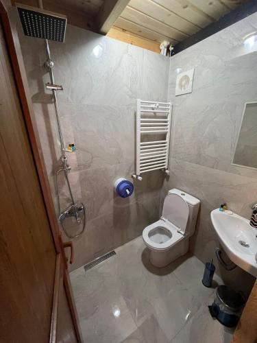 a bathroom with a toilet and a sink at Peruma otel bungalov in Çamlıhemşin