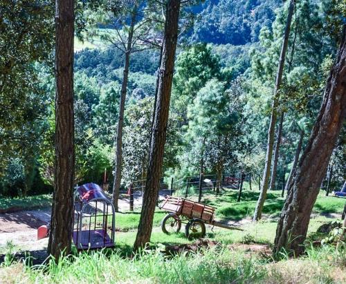a park with a bench and a playground with trees at Finca Chuchiyá cabañas Tecpan in Tecpán Guatemala