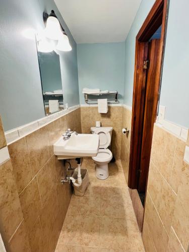 a bathroom with a sink and a toilet and a mirror at Sun N Snow Hotel in Cadillac
