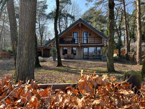 una cabaña de madera en el bosque con árboles en De Oosterburen, en Norg