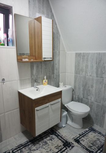 a bathroom with a toilet and a sink and a mirror at Kuća za odmor Villa Kovačević in Bihać