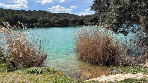 a body of water with tall grass in the foreground at Casa Rural Abuelo Raimundo in Ossa de Montiel