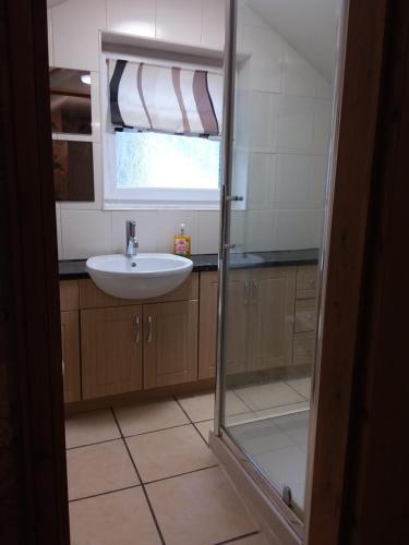 ein Bad mit einem Waschbecken und einer Glastür in der Unterkunft Westwood Drive in Treharris