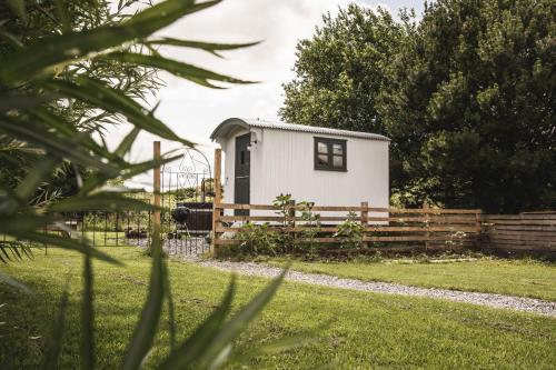 a small white shed in a yard with a fence at Robins Rest in the North York Moors in Rosedale Abbey